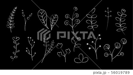 Hand drawn chalked flowers and plants illustration 56019789