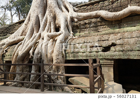 タプロム寺院 56027131