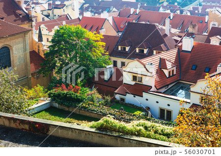 Prague traditional red roofs Prague traditional red roofs 56030701