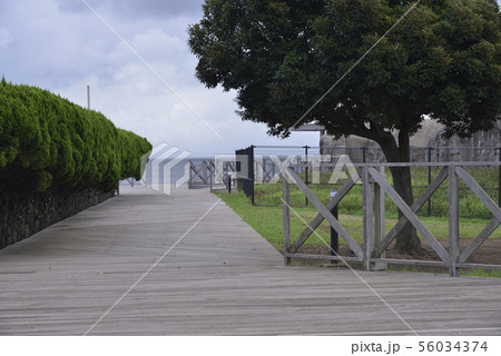 横須賀 うみかぜ公園のウッドデッキ 横須賀 うみかぜ公園のウッドデッキ 56034374