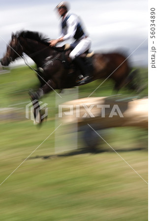 競馬 56034890