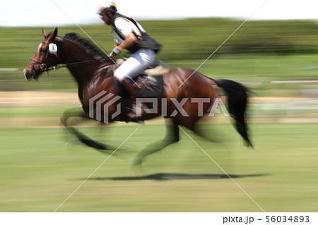 競馬 56034893