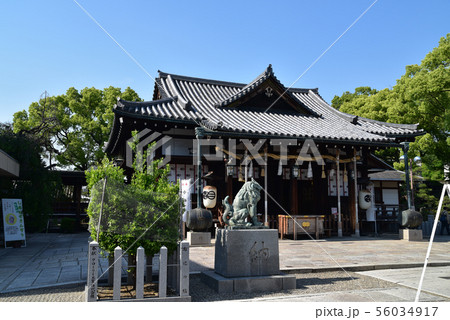 射楯兵主神社の拝殿　兵庫県姫路市 56034917