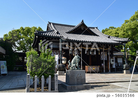 射楯兵主神社拝殿と初夏の青空 兵庫県姫路市 射楯兵主神社拝殿と初夏の青空 兵庫県姫路市 56035566