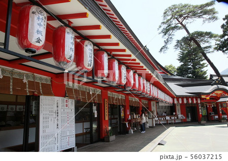 太鼓谷稲荷神社　たいこだにいなりじんじゃ　島根県　津和野　神社　日本五大稲荷 56037215