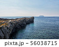 済州島 海 ビーチ 56038715