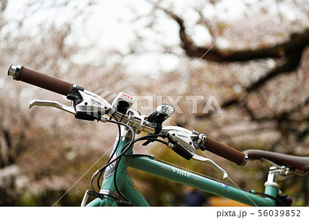 街風景　小金井市 56039852
