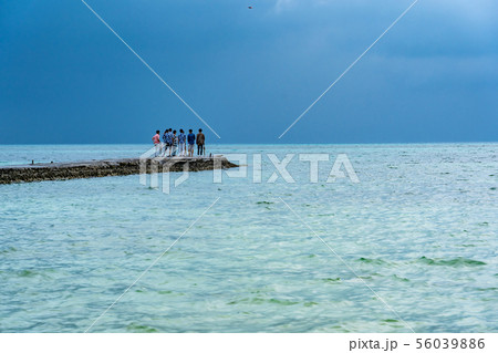 沖縄 竹富島 人気スポットの西桟橋でドローンを飛ばして楽しむ観光客 沖縄 竹富島 人気スポットの西桟橋でドローンを飛ばして楽しむ観光客 56039886