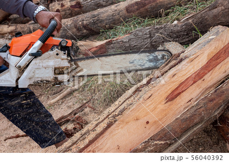 The worker works with a chainsaw. Chainsaw close 56040392