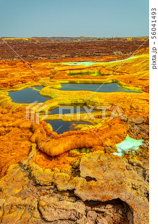 Dallol, Ethiopia. Danakil Depression 56041493