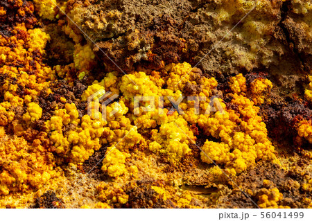 Dallol, Ethiopia. Danakil Depression Dallol, Ethiopia. Danakil Depression 56041499