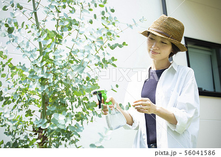 女性　家庭菜園　スプレー 56041586