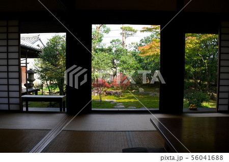 今西家書院の風景 今西家書院の風景 56041688