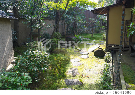 今西家書院の風景 56041690