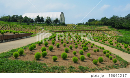 さぬきまんのう公園北側区域４ 56042217