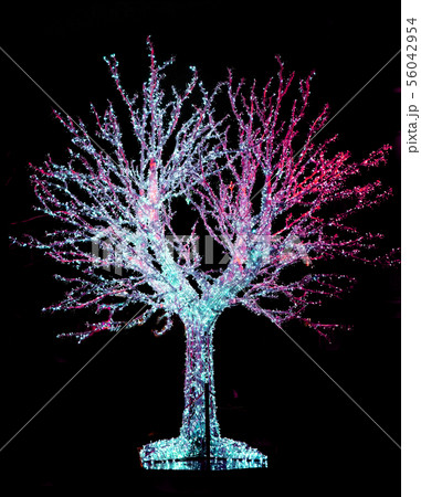 tree with led lights as christmas object 56042954