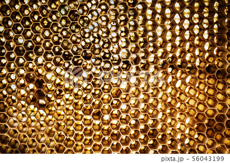 bee wax texture 56043199