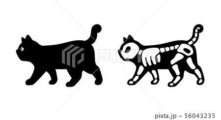 Esqueleto gato preto silhueta gato de halloween com traje de ossos cat  skull icon logo halloween