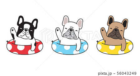 Dog Vector French Bulldog Icon Swimming Ring Pool のイラスト素材