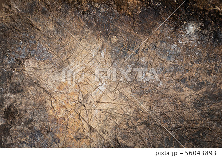 Wood texture background of wood table for interior Wood texture background of wood table for interior 56043893