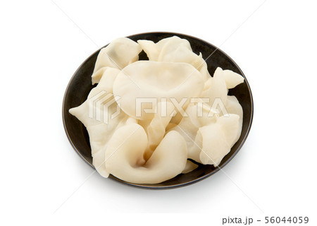 白キクラゲ 白キクラゲ 56044059