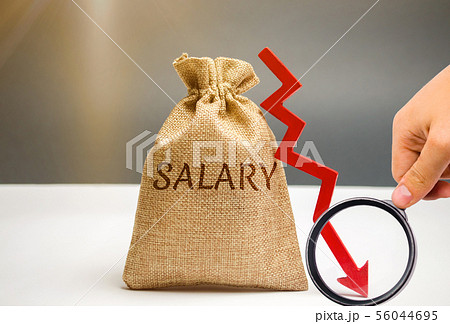 Money bag with the word Salary and arrow to down. 56044695