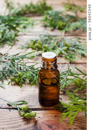 Thuja aroma essential oil in a glass jar on wooden 56045349