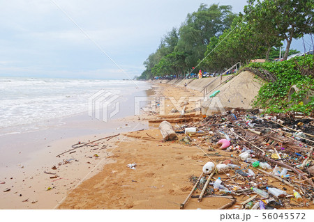 Rubbish and domestic waste polluting the beach 56045572