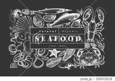 Seafood and fish design template. Hand drawn Seafood and fish design template. Hand drawn 56045639