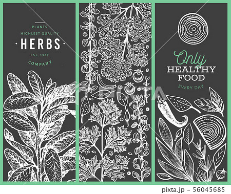 Set of tree culinary herbs banner templates. Hand 56045685