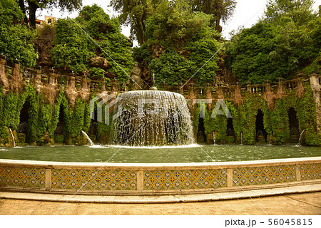 スカイライン 街中 ダウンタウン 56045815