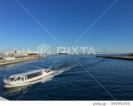 横浜 水上交通 シーバス 横浜 水上交通 シーバス 56046393