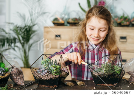 diy florarium home gardening class girl succulents 56046667