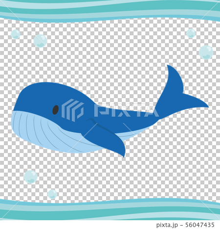 海洋生物系列鯨魚 海洋生物系列鯨魚 56047435