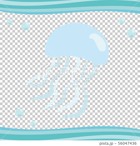 海洋生物系列水母 海洋生物系列水母 56047436