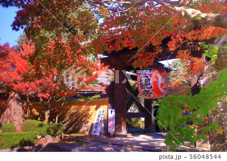 金剛輪寺(滋賀県愛知郡)総門周辺の紅葉 金剛輪寺(滋賀県愛知郡)総門周辺の紅葉 56048544