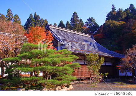 百済寺(滋賀県,東近江市)喜見院 庭園の紅葉 百済寺(滋賀県,東近江市)喜見院 庭園の紅葉 56048636