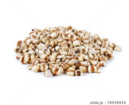 jobs tears grain seed isolated on white background jobs tears grain seed isolated on white background 56048928