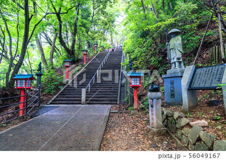 東京　高尾山　男坂 56049167