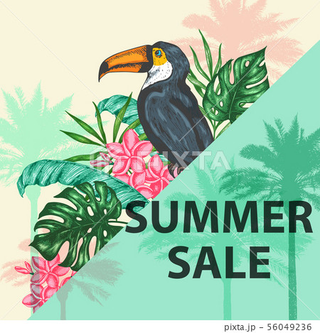 Tropical banner with toucan bird Tropical banner with toucan bird 56049236