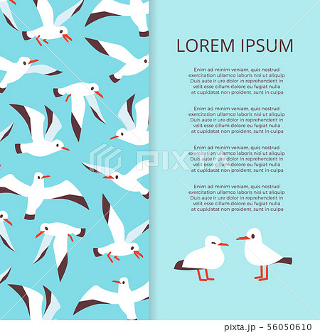 Flat seabirds banner template vector 56050610