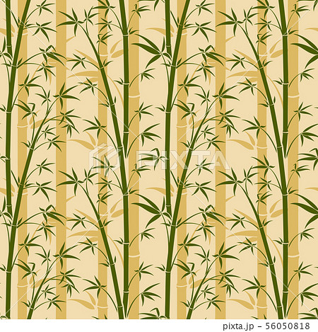 Bamboo tree vector seamless background 56050818