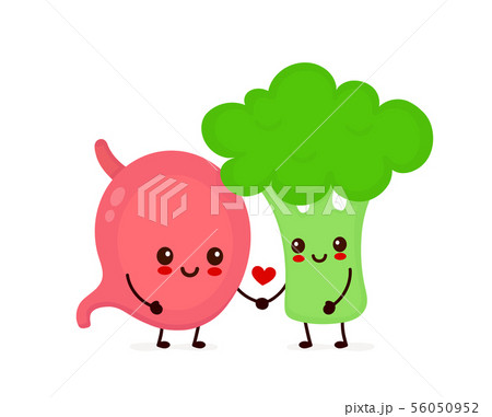 Happy cute smiling stomach and broccoli  56050952