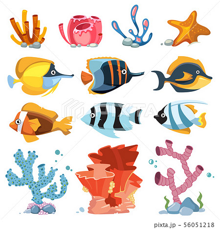 Vector cartoon aquarium decor objects - underwater plants, bright fish 56051218