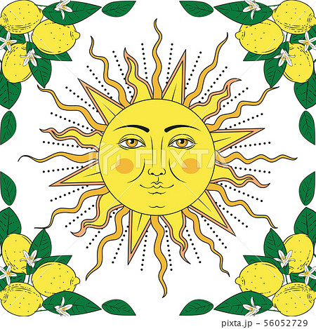 Tropical citrus lemon fruits with flowers frame - Stock