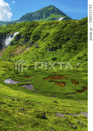 立山と池塘 56053743