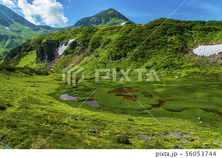 立山と池塘 56053744