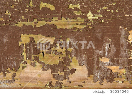 Texture 56054046