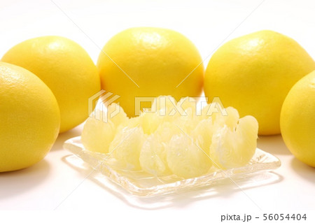 土佐ブンタン　剥き身　白背景 56054404