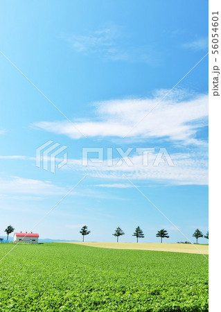 北海道 爽やかな青空とメルヘンの丘の写真素材